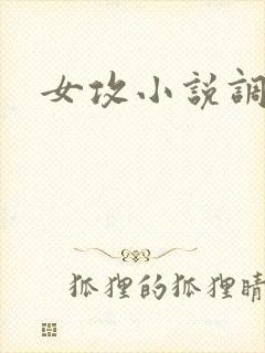 女攻小说调教