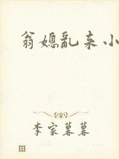 翁媳乱来小说