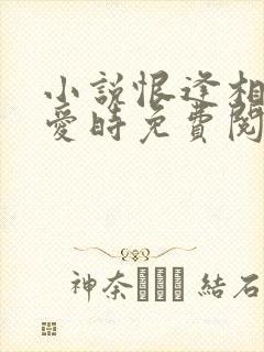 小说恨逢相遇不爱时免费阅读