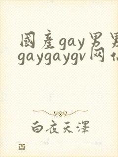 国产gay男男gaygaygv网站