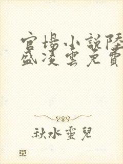 官场小说陆羽与盛凌云免费阅读