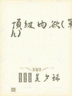 顶级肉欲(军高h)