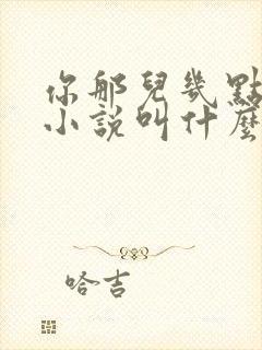 你那儿几点原著小说叫什么
