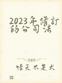 2023年修订的公司法