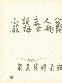 小说主人公初六,苏梅笔趣阁