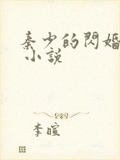 秦少的闪婚娇妻 小说