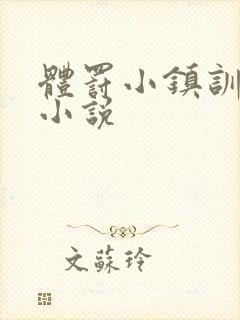 体罚小镇训诫文小说