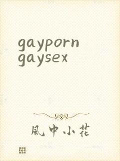 gayporngaysex