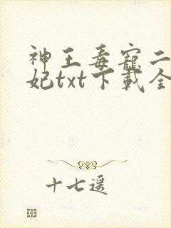 神王毒宠二嫁王妃txt下载全本封面
