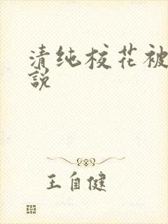 清纯校花被草小说