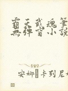 霸天武魂笔趣阁无弹窗小说