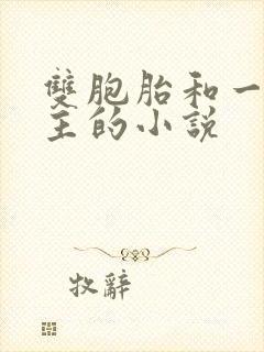 双胞胎和一个女主的小说