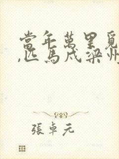 当年万里觅封侯,匹马戍梁州.