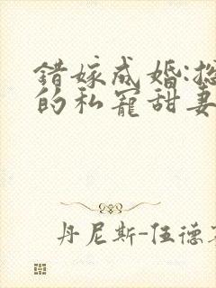 错嫁成婚:总裁的私宠甜妻 风亭