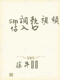 sm调教视频网站入口封面