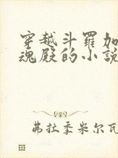 穿越斗罗加入武魂殿的小说