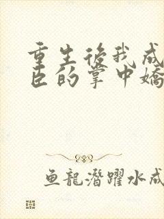 重生后我成了权臣的掌中娇