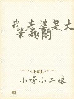 我老婆是大明星 笔趣阁