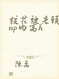 校花被老头强迫np肉高h