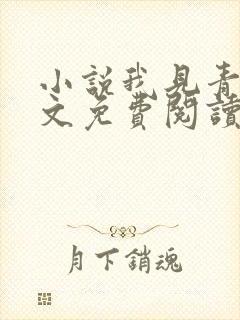 小说我见青山全文免费阅读