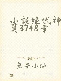 小说绝代神主苏莫3748章