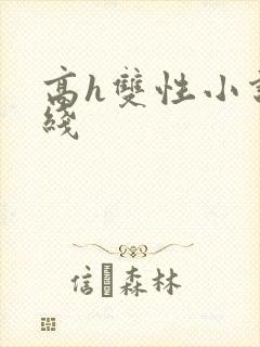 高h双性小说在线