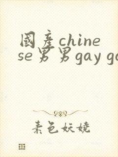 国产chinese男男gay gay搜索