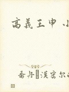 高义王申 小说