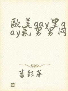 欧美gay里gay气男男网站