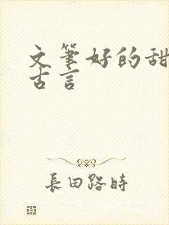 文笔好的甜宠文古言封面