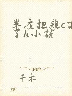 半夜把亲c高潮了h小说封面