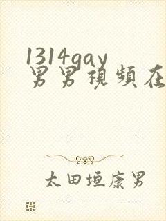 1314gay男男视频在线观看