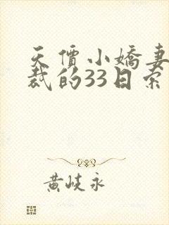 天价小娇妻 总裁的33日索情