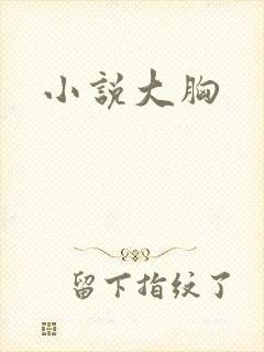 小说大胸