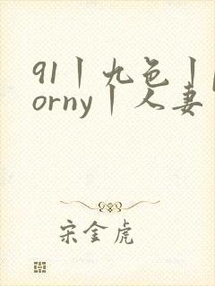 91丨九色丨porny丨人妻