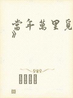 当年万里觅封侯》封面