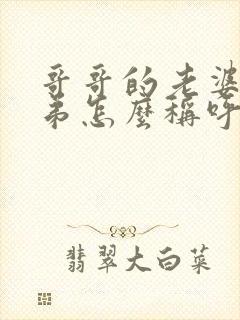 哥哥的老婆的弟弟怎么称呼