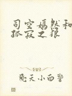 司空嫣然和叶凡孤寂之狼封面