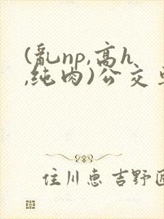 (乱np,高h,纯肉)公交车