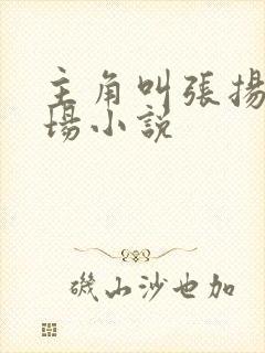 主角叫张扬的官场小说
