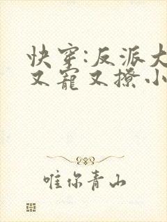 快穿:反派大佬又宠又撩小说