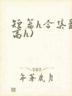 短篇h合集乱(高h)
