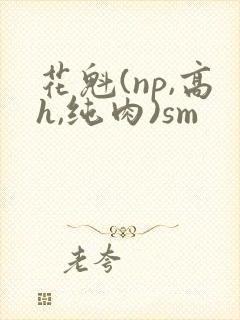花魁(np,高h,纯肉)sm