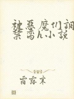 被恶魔们调教成禁脔h小说