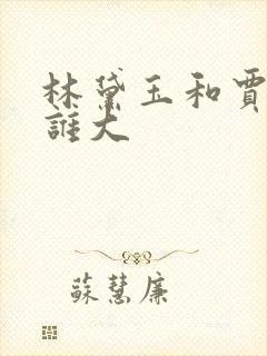林黛玉和贾宝玉谁大封面