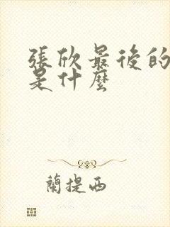 张欣最后的结局是什么
