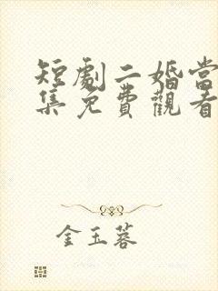 短剧二婚当嫁全集免费观看高清