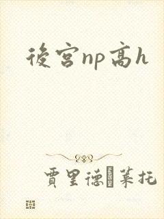 后宫np高h封面
