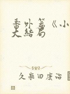 番外篇《小莹》大结局