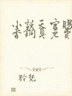 小说天官赐福墨香铜臭免费阅读全文